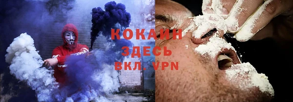 трава Абаза