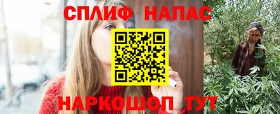 Альфа ПВП Гудермес