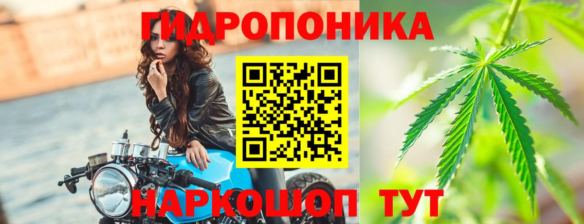 Конопля семена Копейск